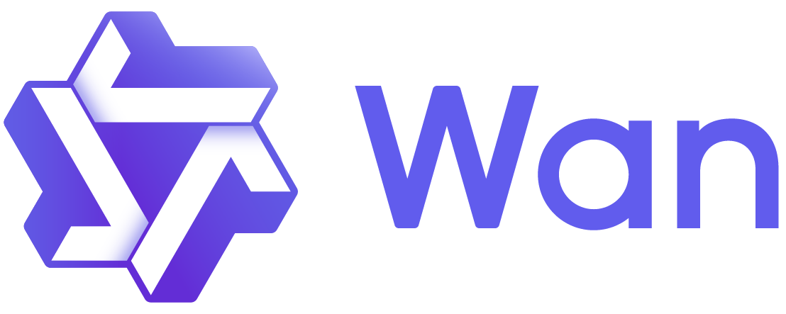 Wan Video